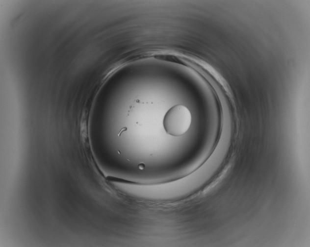 X0000114210905200910161245