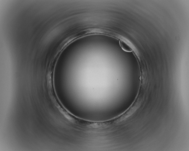 X0000114210906200910161245