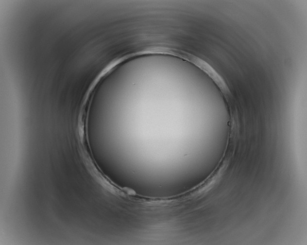 X0000114210908200910161245