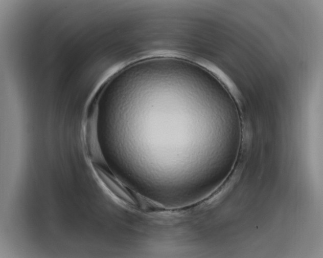 X0000114210910200910161245