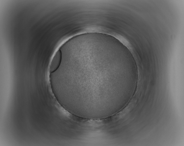 X0000114210912200910161245