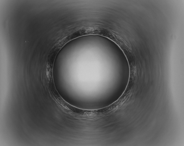 X0000114210914200910161244