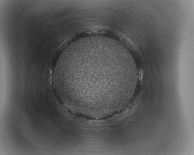 X0000114210915200910161244