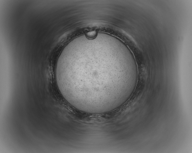 X0000114210918200910161244