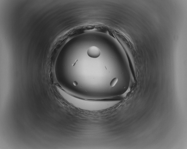X0000114210920200910161244