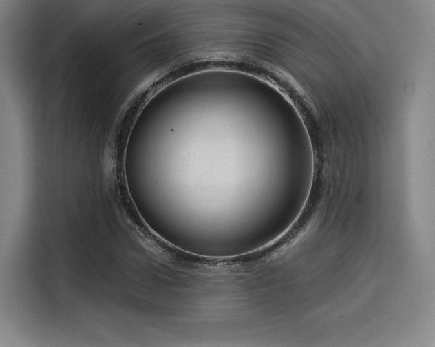 X0000114210922200910161244