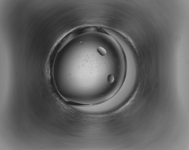 X0000114210925200910161244