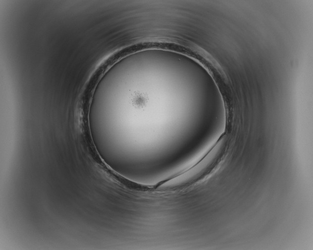 X0000114210926200910161244
