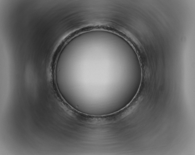 X0000114210927200910161244