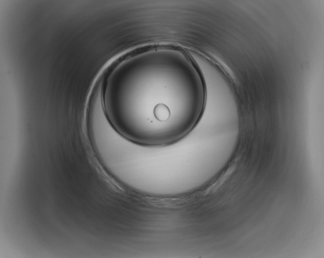 X0000114210932200910161244