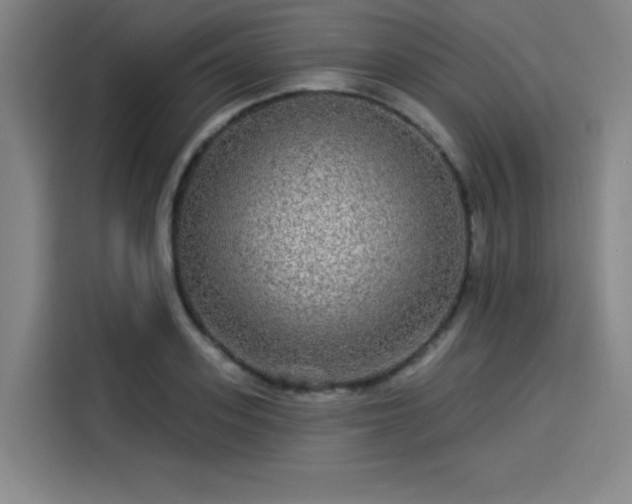 X0000114210939200910161244