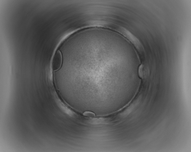 X0000114210940200910161244