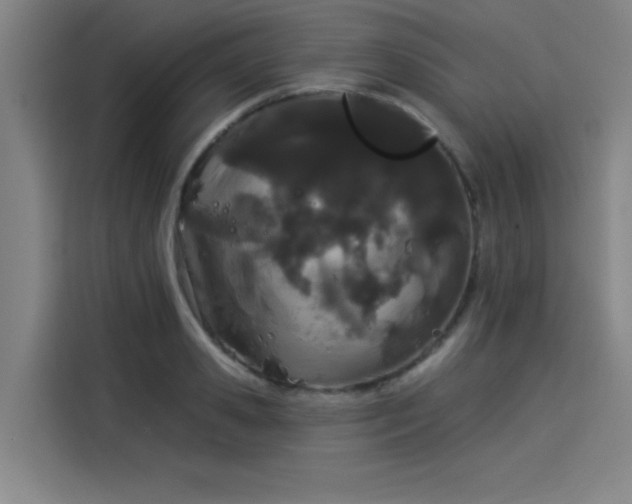 X0000114210941200910161244