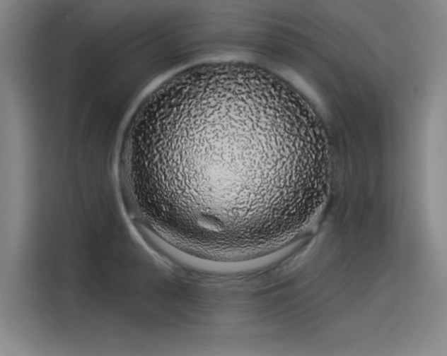 X0000114210943200910161245