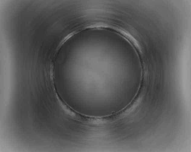 X0000114210945200910161245