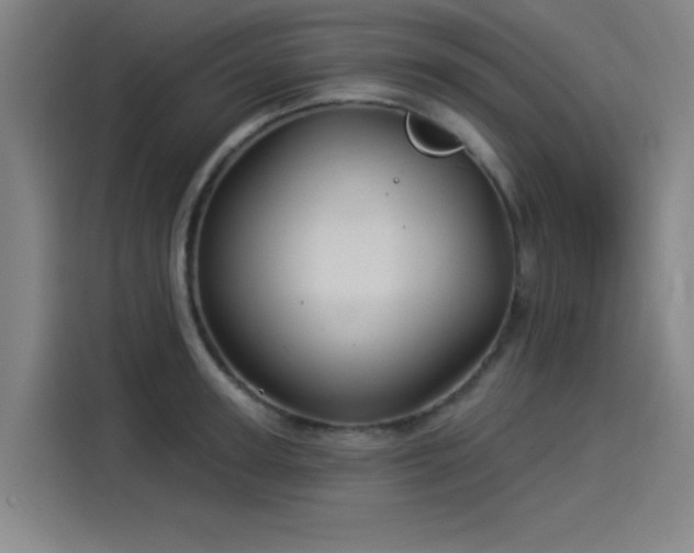 X0000114210947200910161245