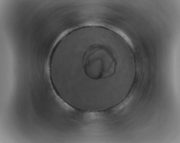 X0000114210950200910161245