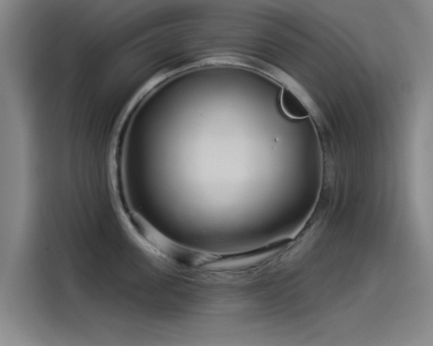 X0000114210955200910161245