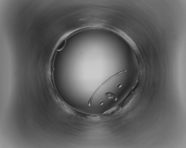 X0000114210956200910161245