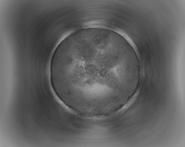 X0000114210957200910161245