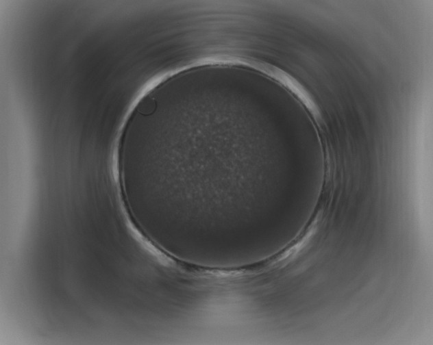 X0000114210958200910161245