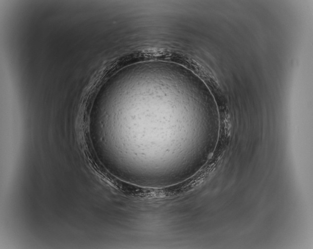 X0000114210961200910161244
