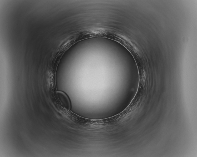 X0000114210964200910161244