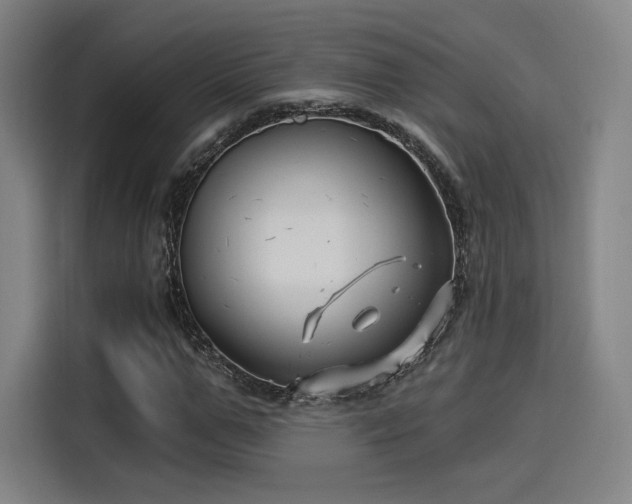 X0000114210967200910161244