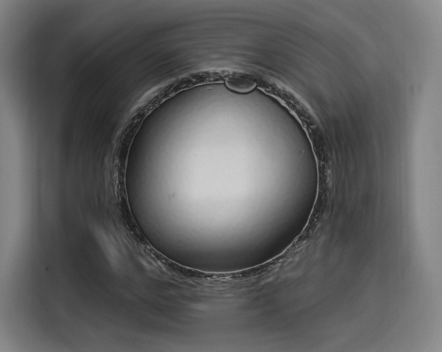 X0000114210968200910161244