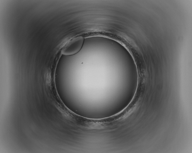 X0000114210969200910161244