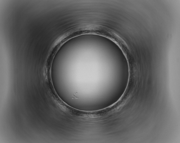 X0000114210970200910161244