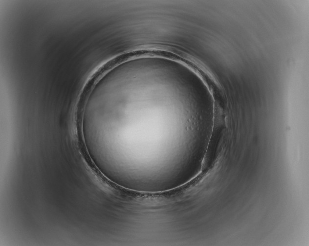 X0000114210972200910161244