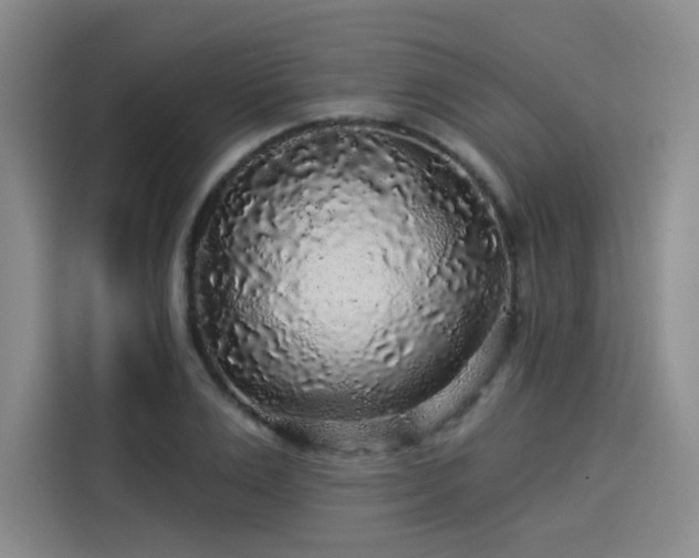 X0000114210983200910161244