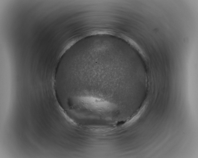 X0000114210985200910161244