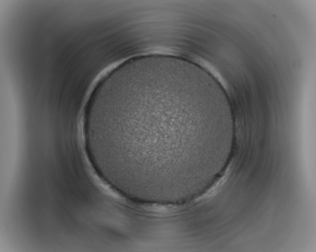 X0000114210987200910161244