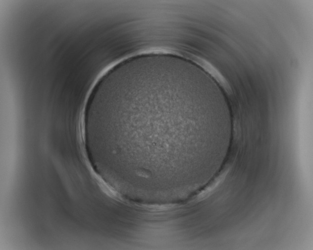 X0000114210988200910161244
