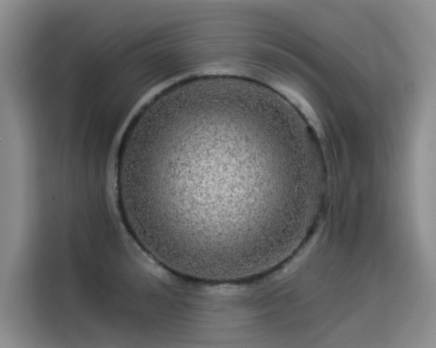 X0000114210992200910161244