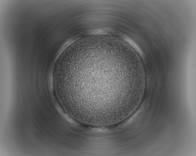 X0000114210994200910161244