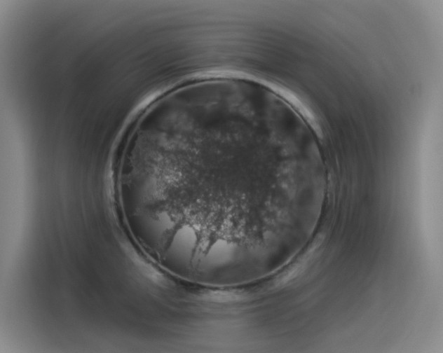 X0000114210998200910161244