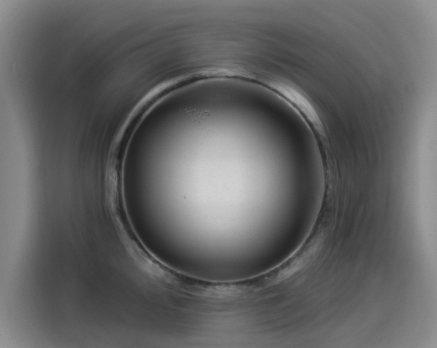 X0000114211000200910161244