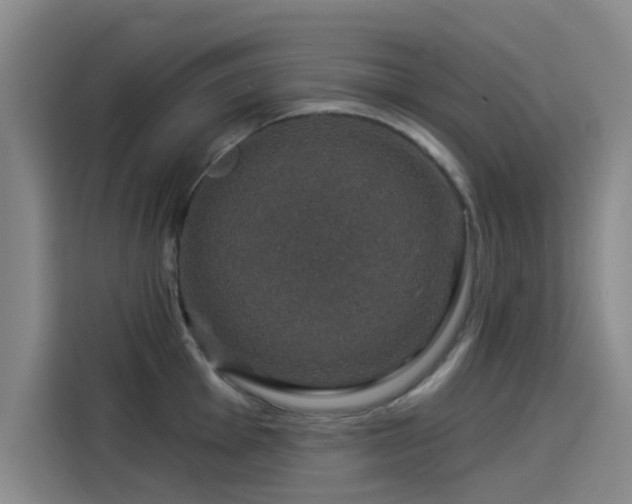X0000114211001200910161244