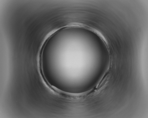 X0000114211003200910161244