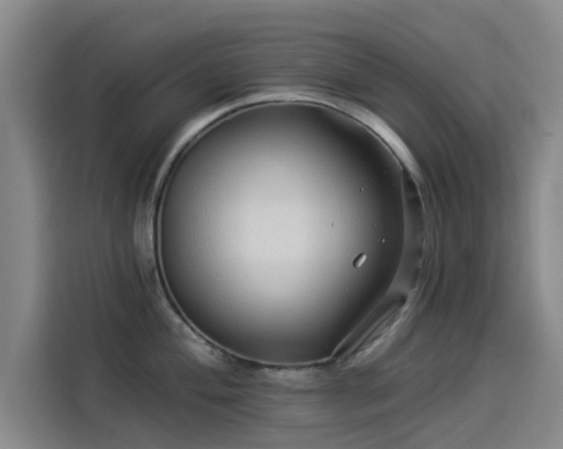 X0000114211004200910161244