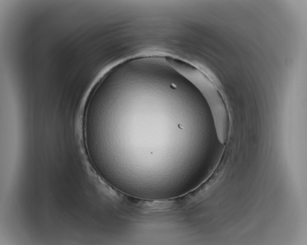 X0000114211008200910161243