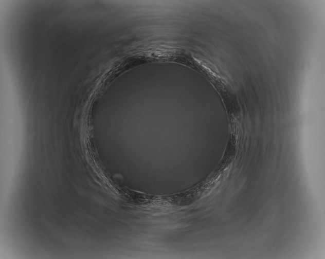 X0000114211009200910161243