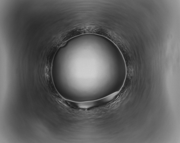 X0000114211010200910161243