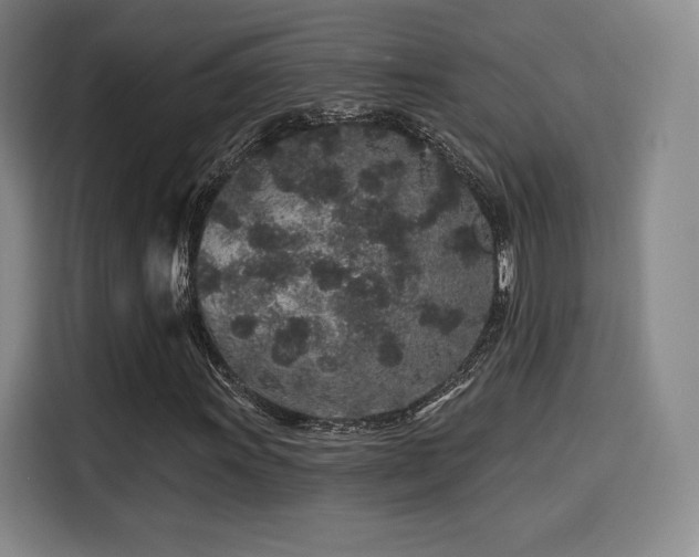 X0000114211011200910161243