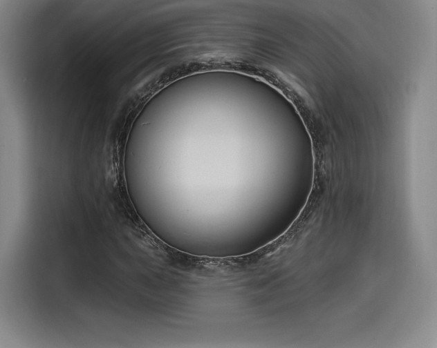 X0000114211015200910161243