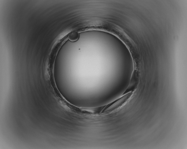 X0000114211018200910161243