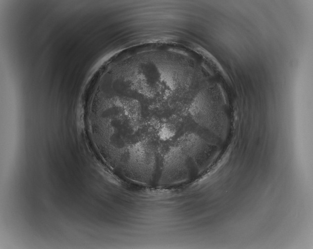 X0000114211019200910161243